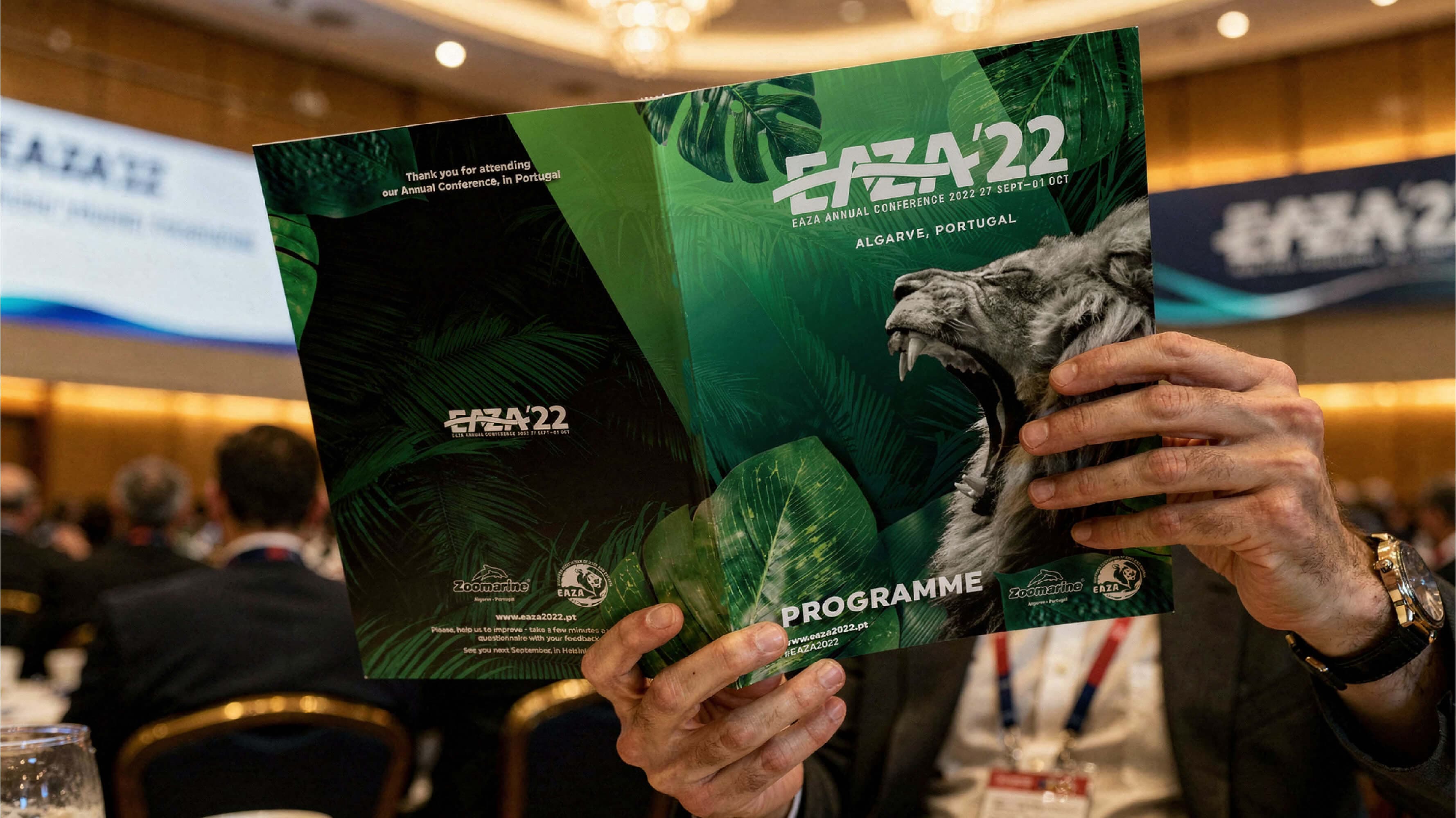 EAZAHero